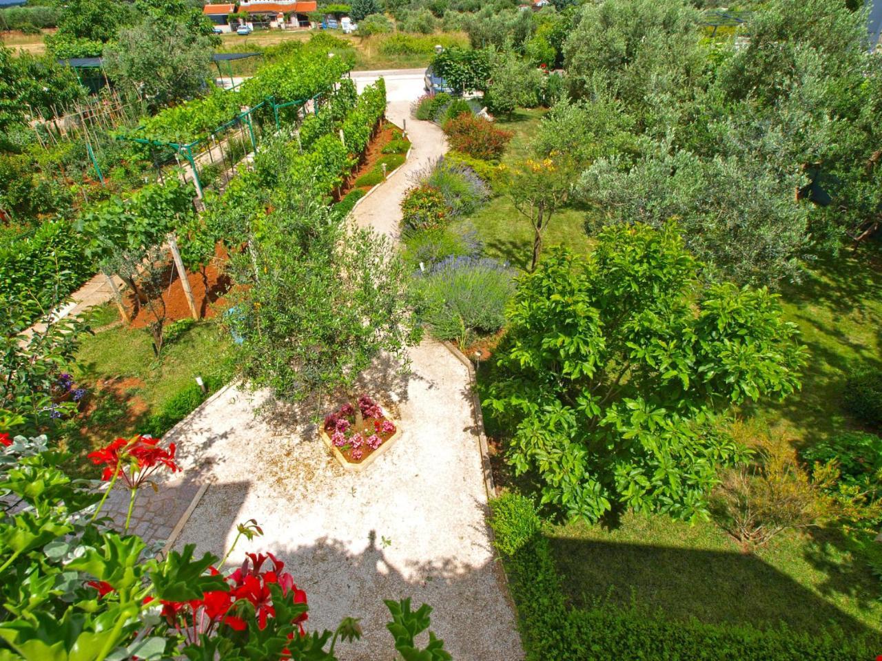 Apartments Fazanka 1002 Fažana Εξωτερικό φωτογραφία