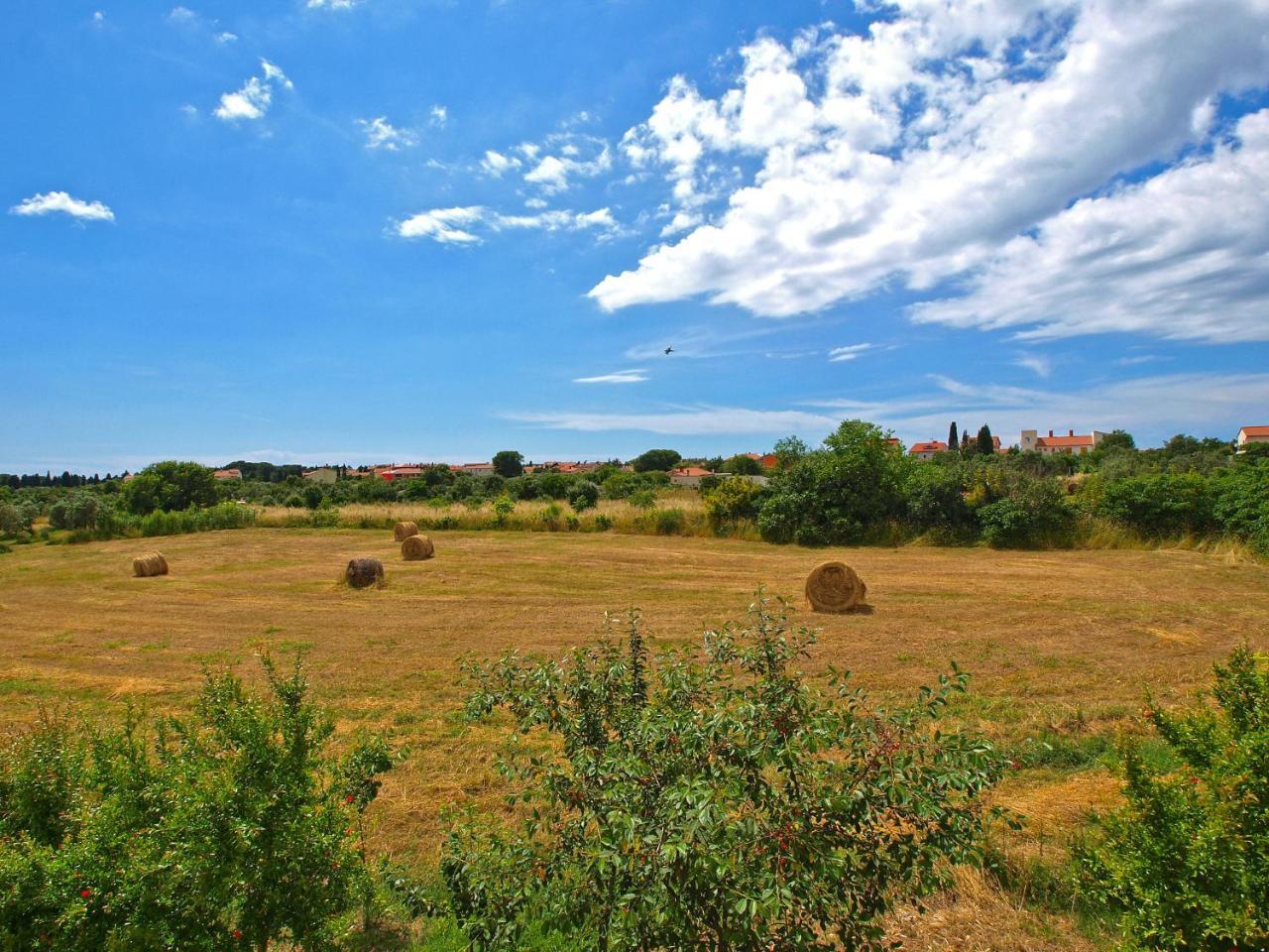 Apartments Fazanka 1002 Fažana Εξωτερικό φωτογραφία